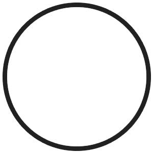Replacement N54/N55 Charge Pipe O-Ring/Gasket (E and F chassis)