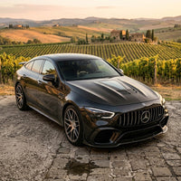 2019-2026 Mercedes GT43/GT53/GT63 AMG Glass Engine Cover Carbon Fiber Hood | X290 2