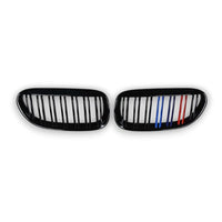 2005-2010 BMW 6-Series/M6 Dual Slat Kidney Grilles | E63/E64 2