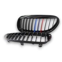 2005-2010 BMW 6-Series/M6 Single Slat Kidney Grilles | E63/E64 2