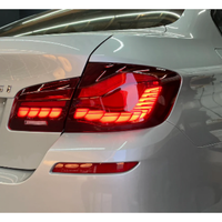 2010-2016 BMW M5/5-Series GTS Style OLED Taillights | F10 2