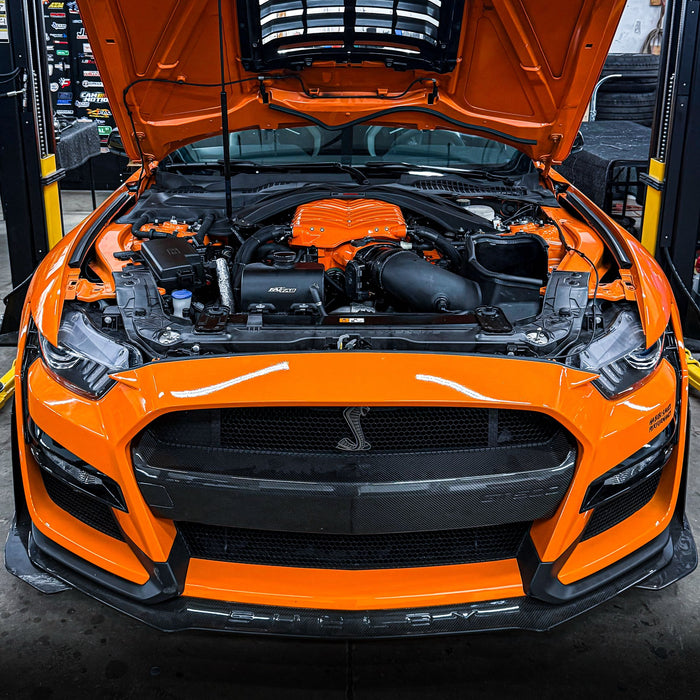 Ford Coyote 5.0 work at Habibi Sauce Performance