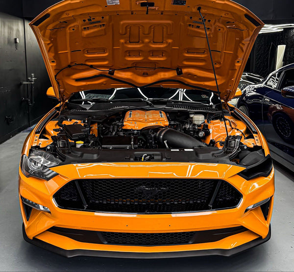 Ford Coyote 5.0 Mustang & F-150 custom tuning by Habibi Sauce Performance – photo 2